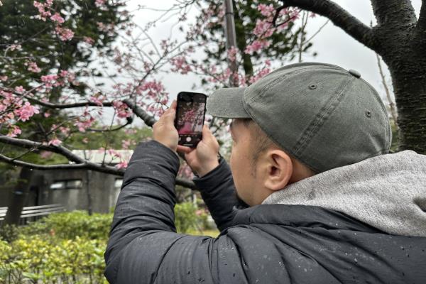 将画面上的方框对准主体后长按至显示“自动曝光/自动对焦锁定”，再将手机移动到其他花前做出前景。