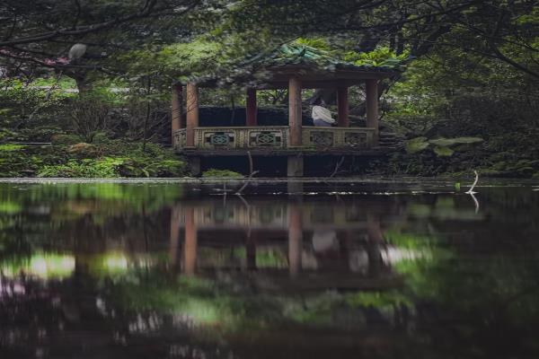 不管是湖面还是积水的地面，运用可反光的素材，低角度拍摄让画面二分对比，就能让照片更为出众。