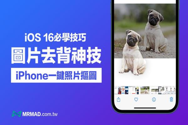 iOS 16“照片去背景”技巧教学，用iPhone内建一键抠图超神速