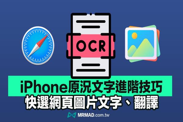 iPhone原况文字进阶技巧，快速复制Safari网页图片文字和翻译