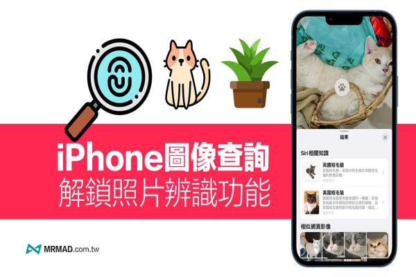 iPhone图像查询怎么用？教你解锁iOS 照片辨识功能