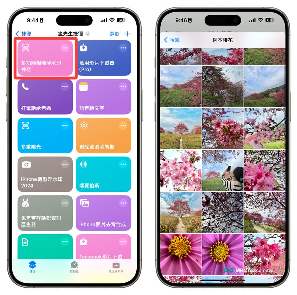 操作教程：选择照片档案