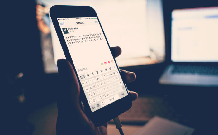 【iPhone/iPad教程】轻松解决Facebook及第三方输入法注音Bug问题